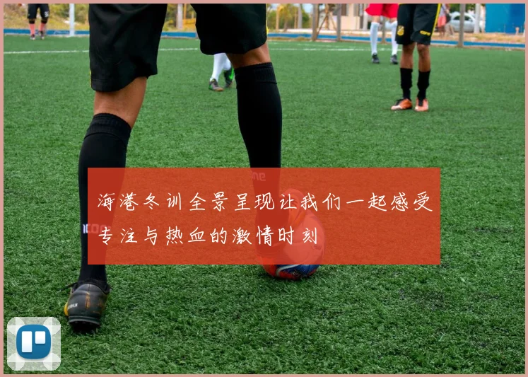 海港冬训全景呈现让我们一起感受专注与热血的激情时刻