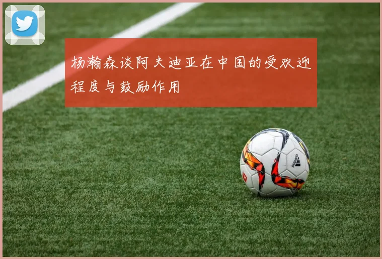 杨瀚森谈阿夫迪亚在中国的受欢迎程度与鼓励作用