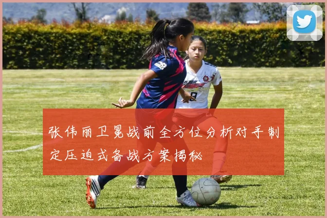 张伟丽卫冕战前全方位分析对手制定压迫式备战方案揭秘