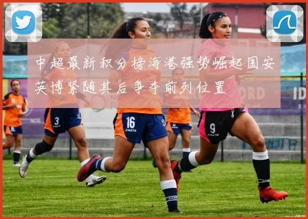 中超最新积分榜海港强势崛起国安英博紧随其后争夺前列位置